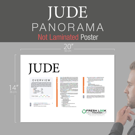 Jude Panorama Not Laminated
