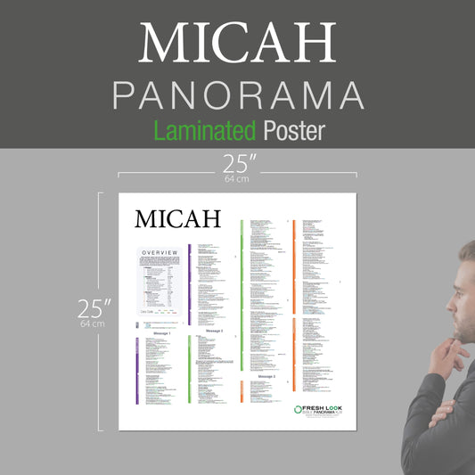 Micah Panorama Laminated