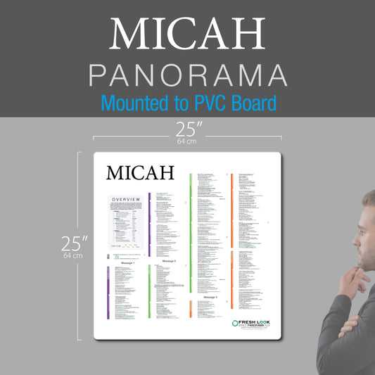 Micah Panorama PVC