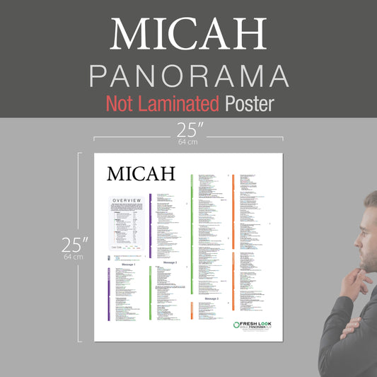 Micah Panorama Not Laminated