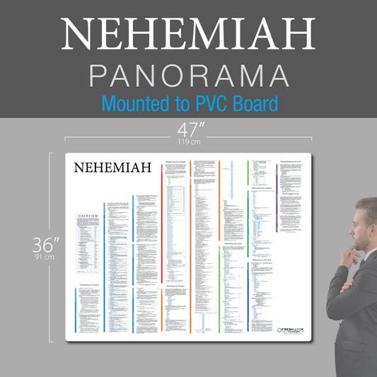 Nehemiah Panorama PVC