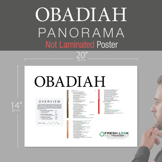 Obadiah Panorama Not Laminated