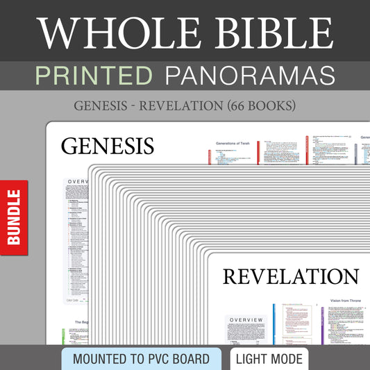 Whole Bible Bundle