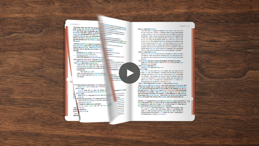 Genesis Book
