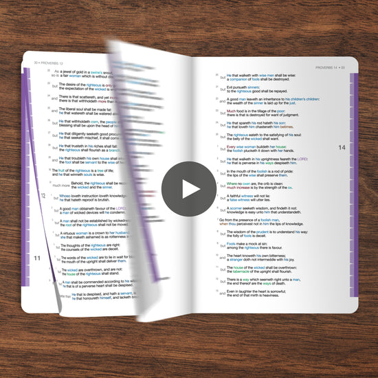 freshlook-bible-printed-book-14-proverbs-ecclesiastes-and-sos.mp4