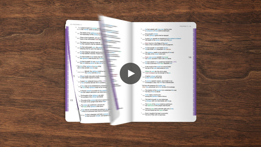 freshlook-bible-printed-book-14-proverbs-ecclesiastes-and-sos.mp4
