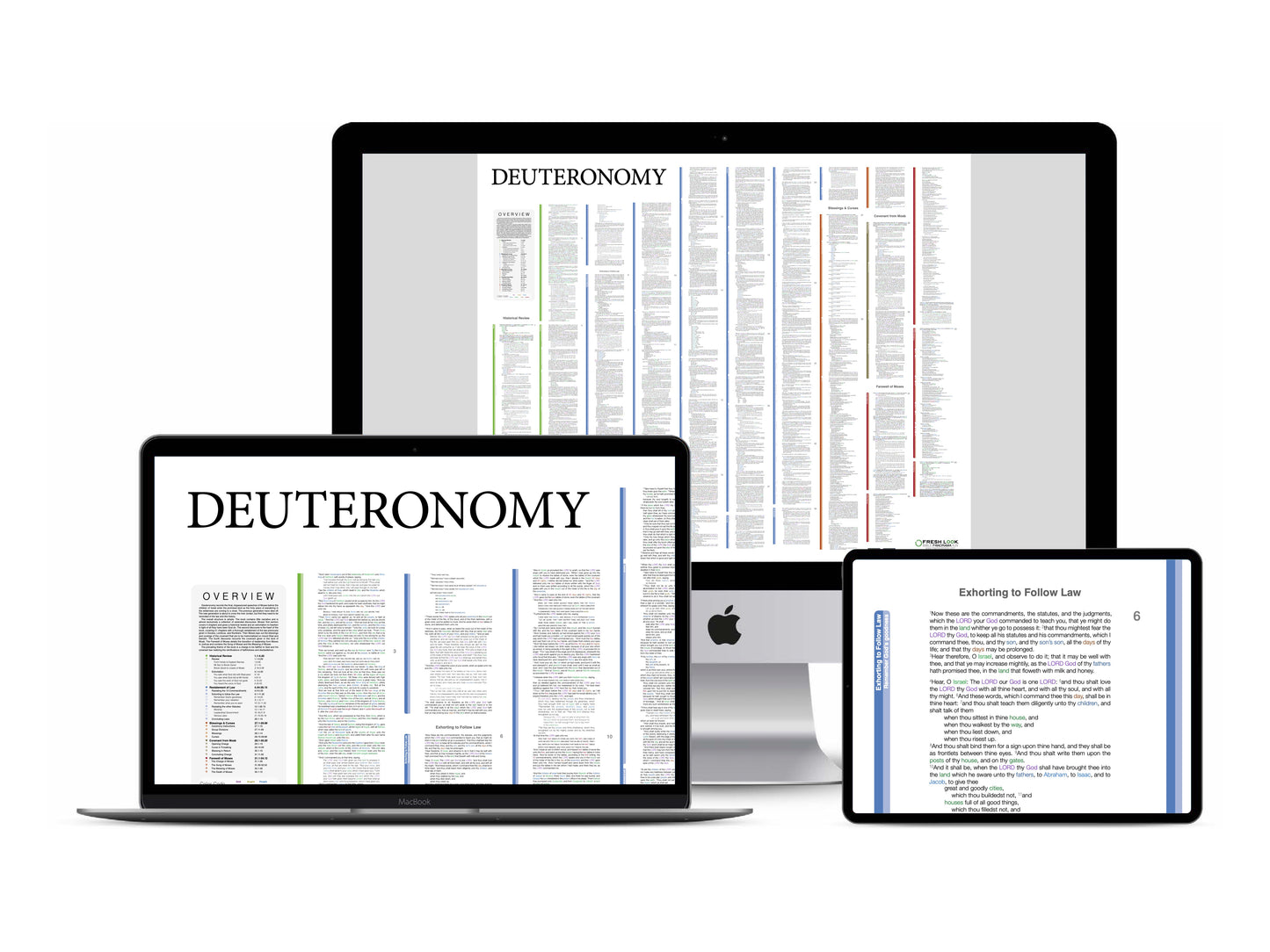 Deuteronomy Panorama PDF