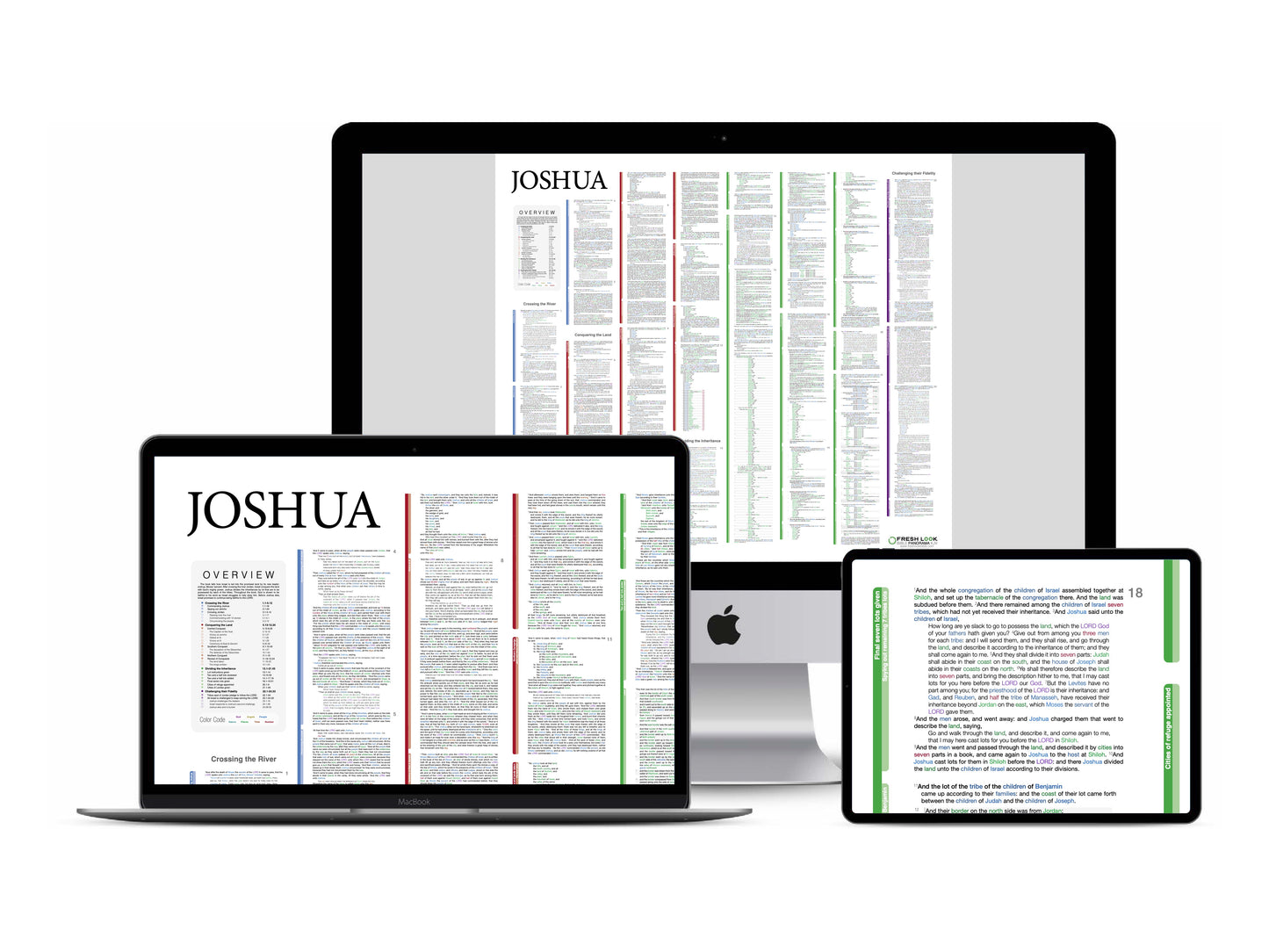 Whole Bible Panorama PDF Essential Color