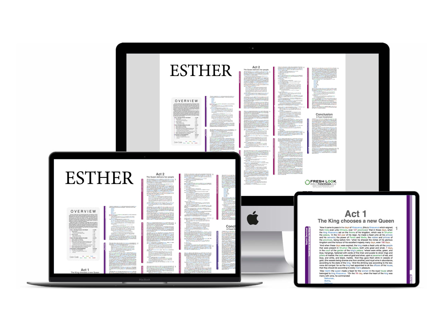 Esther Panorama PDF