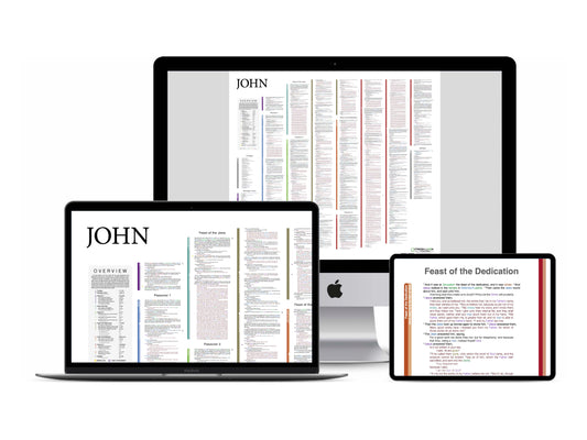 John Panorama PDF