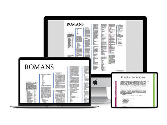 Whole Bible Panorama PDF Bundle