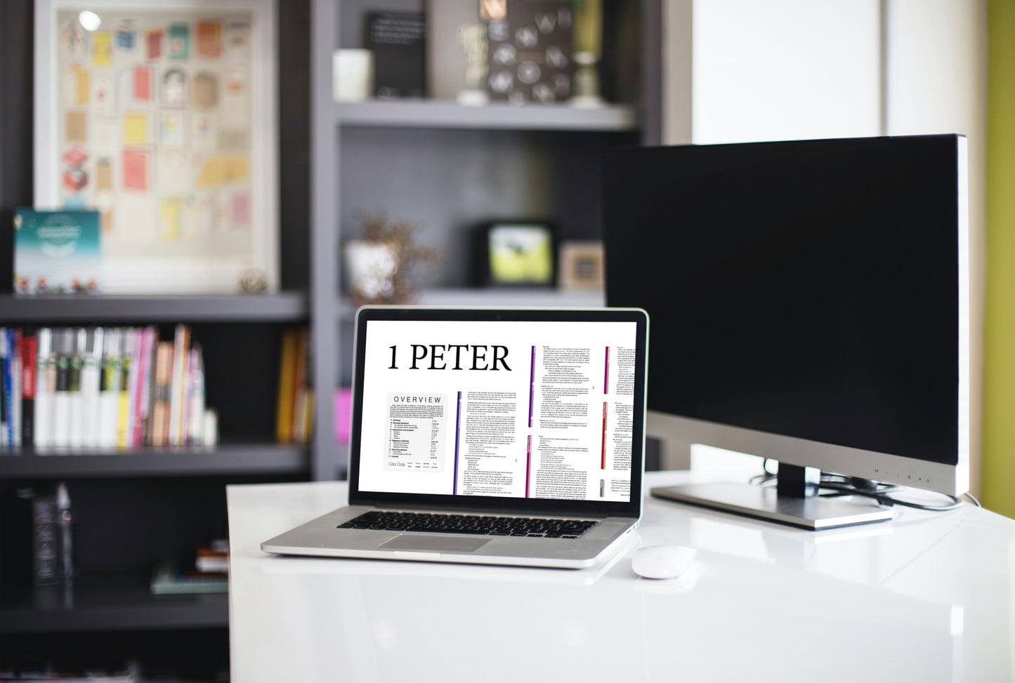 1 Peter Panorama PDF