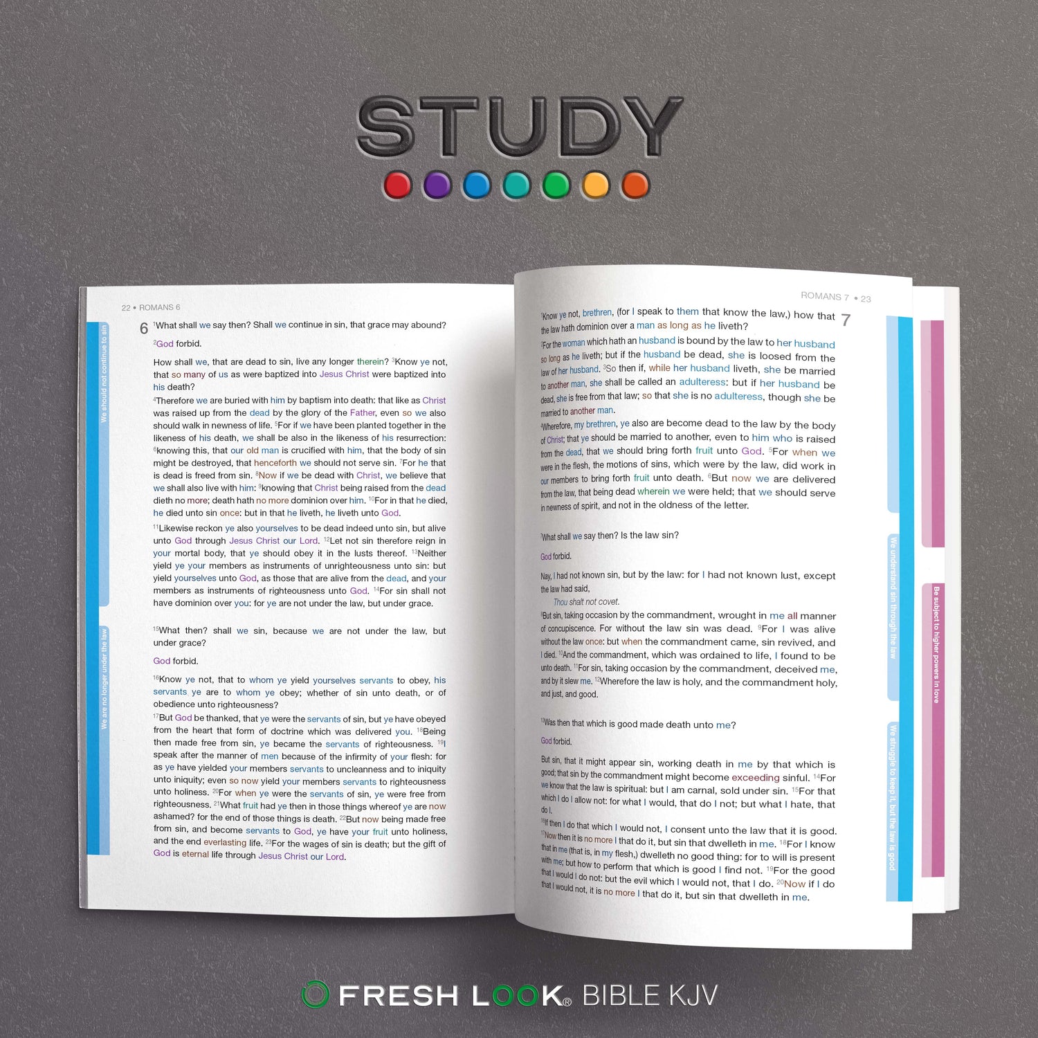 29 Volume Book Set Study – Fresh Look Bible